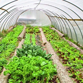 Plastik UV Greenhouse