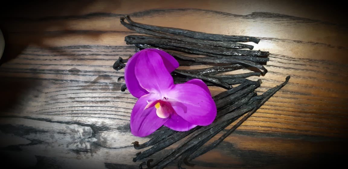 Vanilla Beans HITAM MANIS