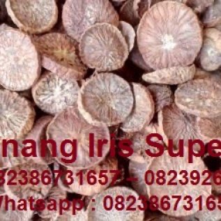 Pinang Super Iris