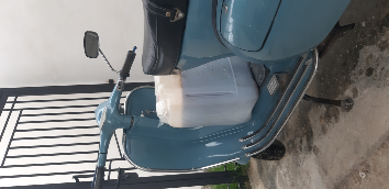 Madu Murni