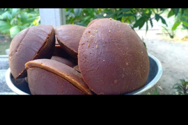 gula kelapa (aren)