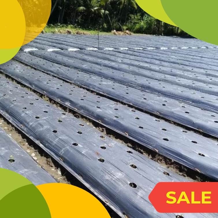 Termurah! Mulsa Plastik HERCULES,KUDA dll Siap Kirim