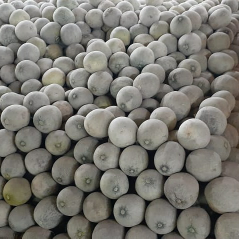Supplier Buah-buahan lokal