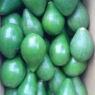Jual Lahan Murah Bandung