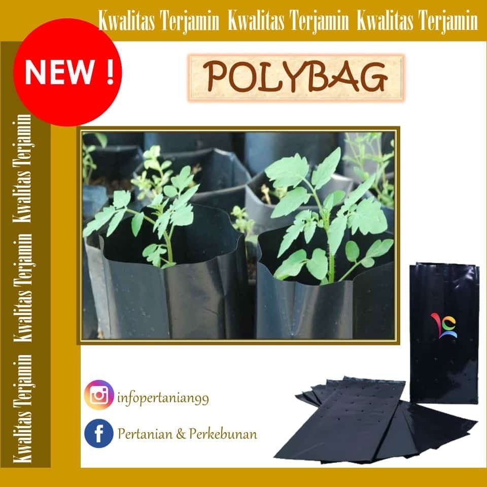 polybag plastik pembibitan tanaman