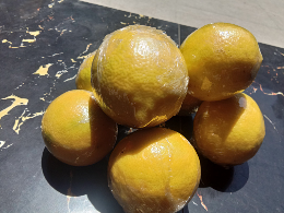 Lemon California