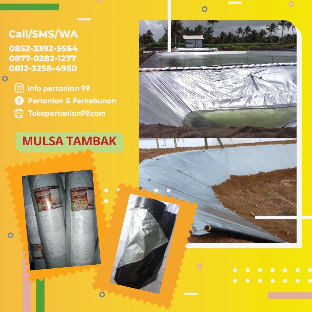 Mulsa Platik Hitam Perak