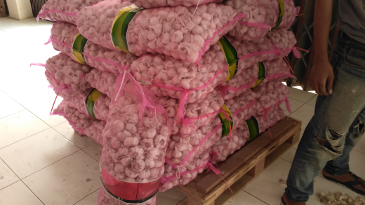 jual bawang putih kating import wa