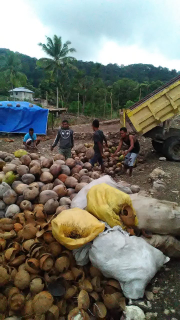 hasil bumi