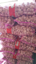 Bawang Putih Import -Fresh .Khusus Partai ~Kirim Jabodetabek
