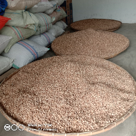 Jual beli kapulaga, cengkeh, pala