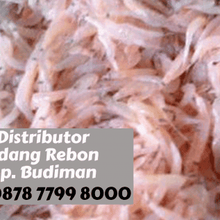 Jual Partai Besar Udang Rebon Basah dari Medan Segar Murah Berkualitas