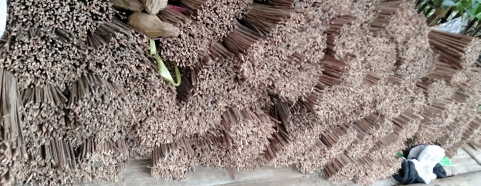 sapu lidi
