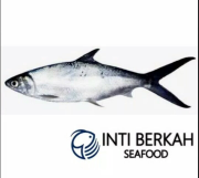 JUAL IKAN BANDENG (JABODETABEK)