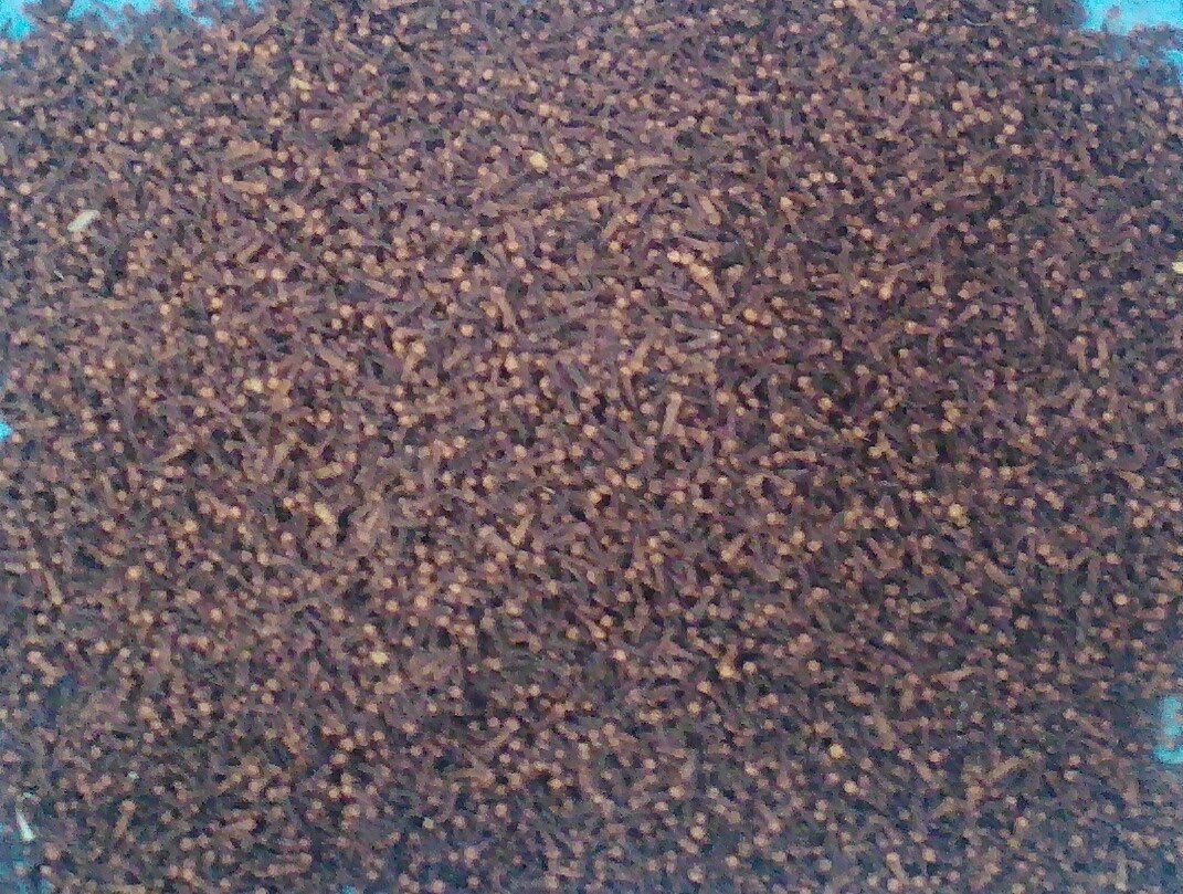 CENGKEH KERING