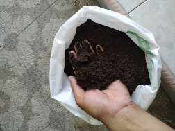 Pupuk Kascing Kemasan 5kg