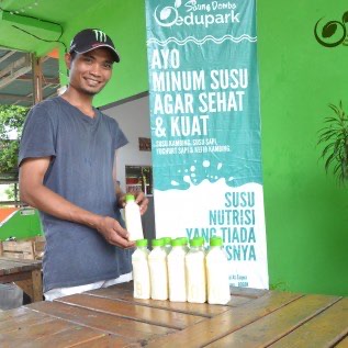 Susu Kambing Murni Murah