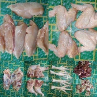 UD. TRIMO JOYO menjual ayam karkas, fillet BSB BSL frozen khusus wilayah Lampung