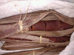 gula aren