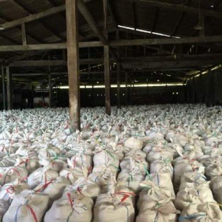 JUAL GULA MERAH READY STOCK