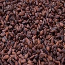 DISTRIBUTOR REMPAH-REMPAH BIJI COKLAT