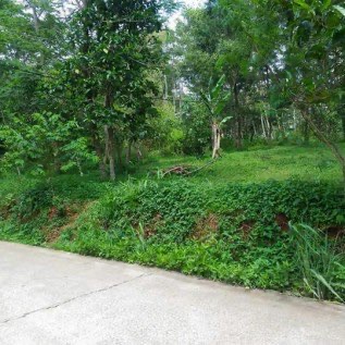 dijual tanah luas 6000meter