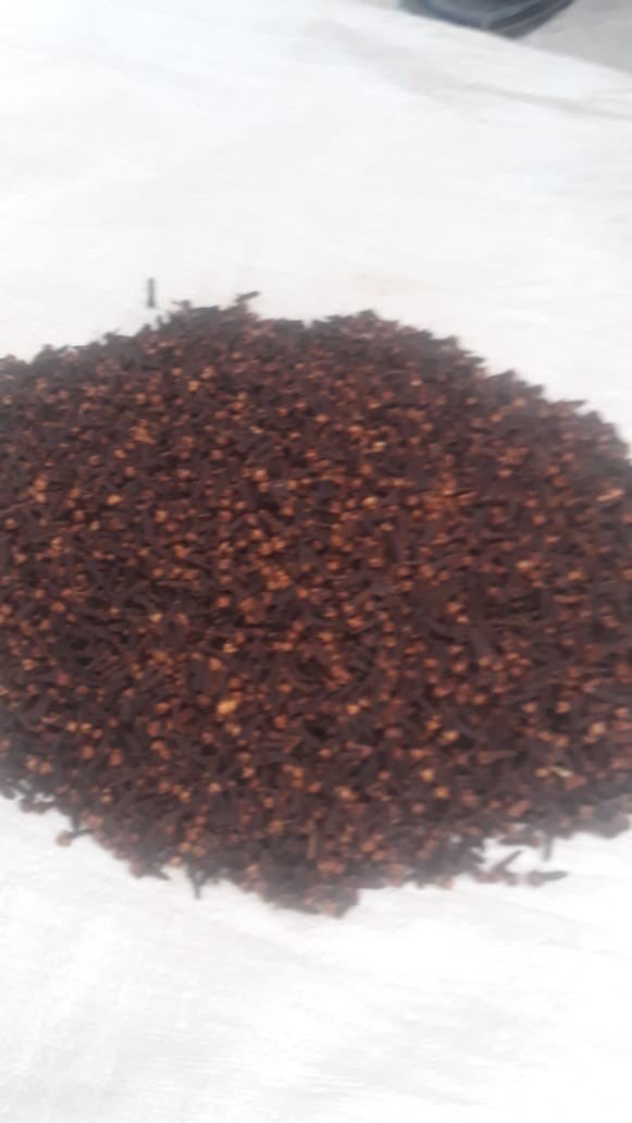 Cengkeh Kering