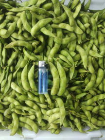 Produk Edamame (fresh)
