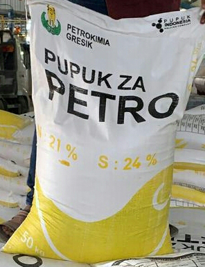za petro nonsub