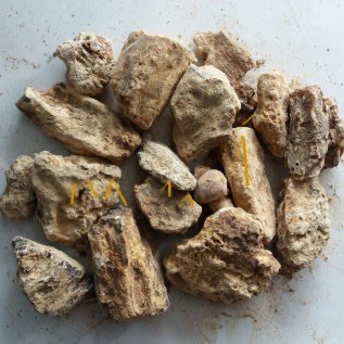 JUAL BATU DAMAR CALCUTTA; BOMBAY; MATA KUCING