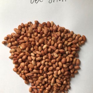 kacang tanah obe
