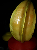 belimbing madu kebumen