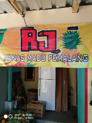 agen nanas madu asli belik pemalang