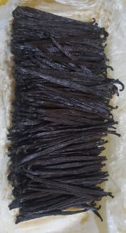 Vanilla Tahitensis Gourmet