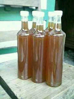 jual madu hutan asli NTT