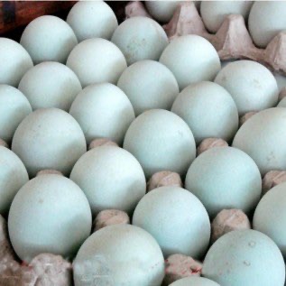 Telur Asin Bebek Super