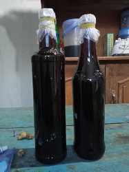 jual madu