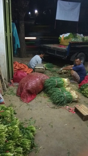 daun bawang , seledri, labu siam, tomat ,selada