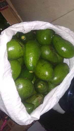 alpukat mentega