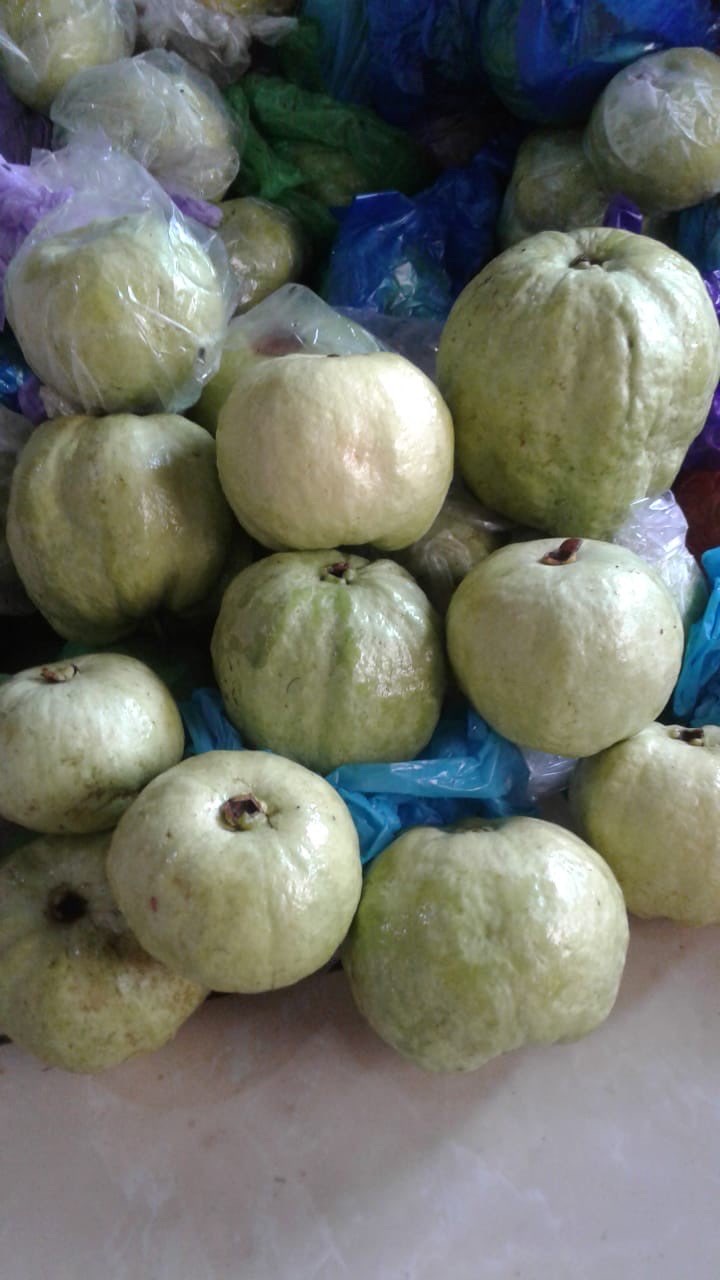 Jambu Kristal