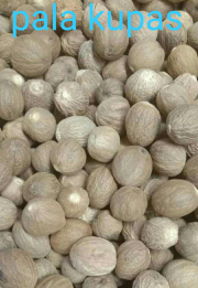 jual biiji pala kupas