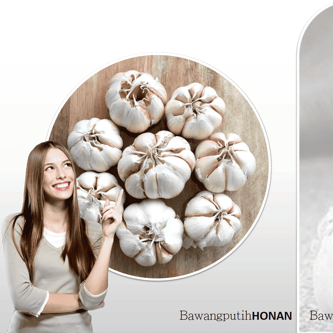 BAWANG PUTIH HONAN IMPORT