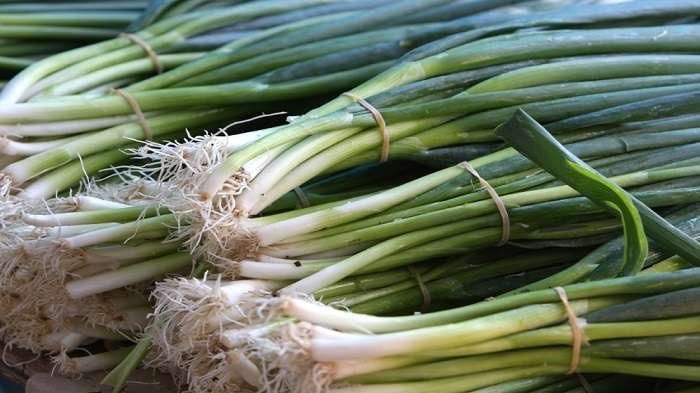 Daun Bawang