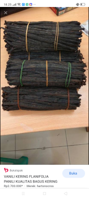 vanili kering dan mentah
