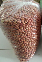 Kacang Tanah