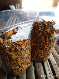 kunyit kering/turmeric simplisia