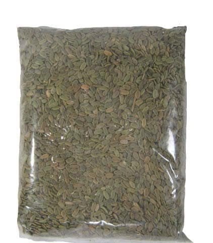 Benih SENGON Unggul 500 Gram / Budidaya Pohon Sengon Unggul