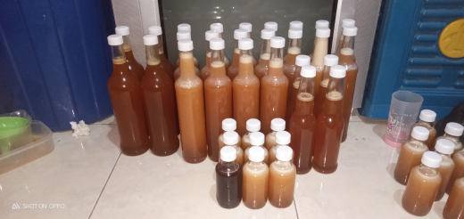 madu hutan/madu murni/apis dorasta