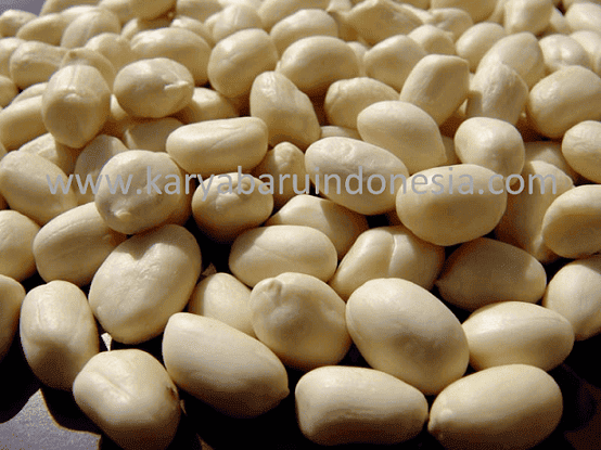 JUAL KACANG TANAH KUPAS - GROSIR - PT. KARYA BARU INDONESIA
