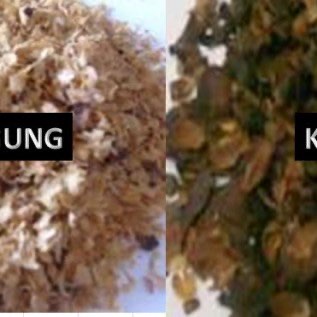 BAHAN BAKU MAKANAN TERNAK ALTERNATIF 